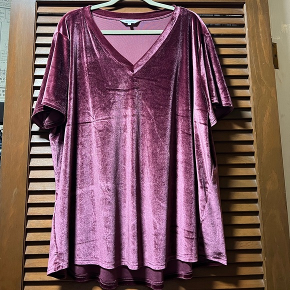 Amaryllis Tops - Amaryllis Velvet Top in Deep Pink